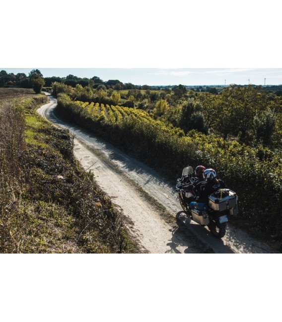 Option accompagnant (PDK-2026)