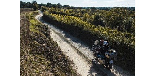 Option accompagnant (PDK-2026)